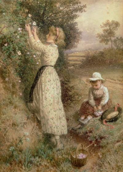 Wild Roses by Myles Birket Foster
